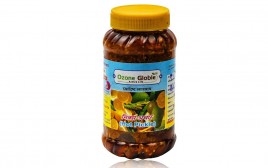 Ozone Globle Hot Pickle   Plastic Jar  800 grams